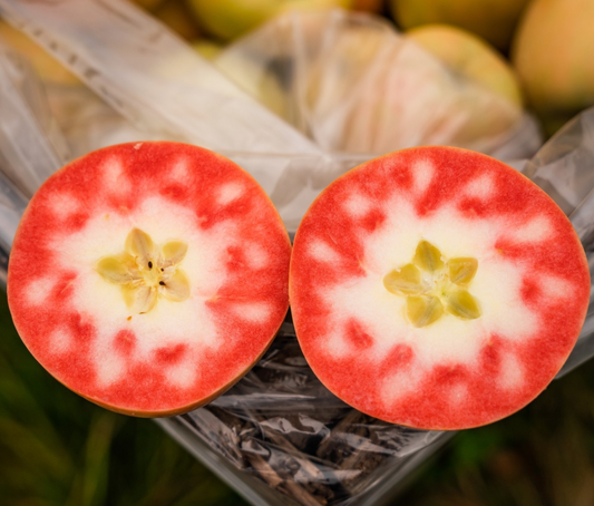 Malus' Lucy™ Gem Red Fleshed Apple Tree