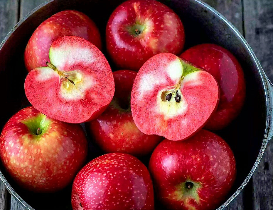 Malus' Lucy™ Rose Red Fleshed Apple Tree