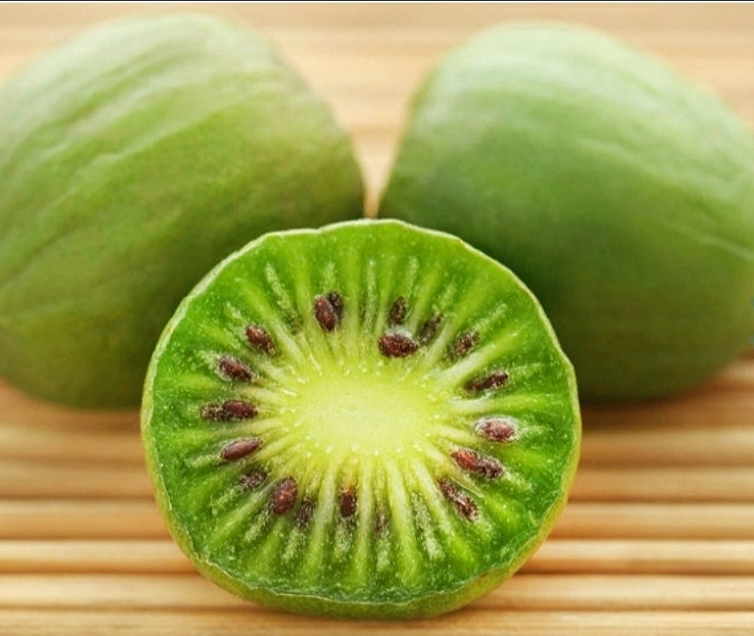 Actinidia' Issai Hardy Kiwi Vine