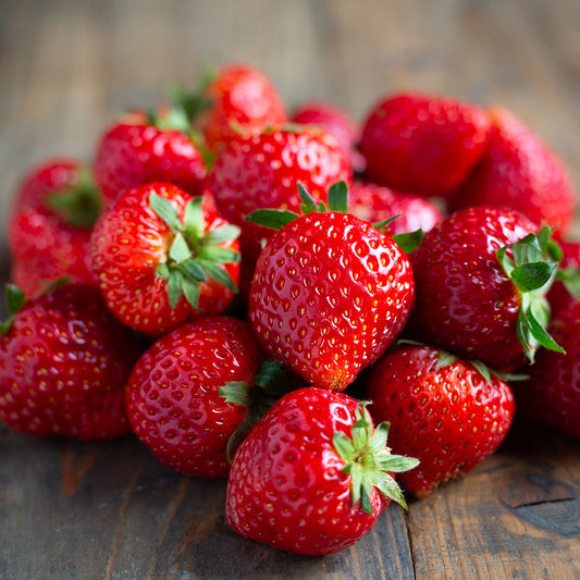 Fragaria' Eclair Strawberry